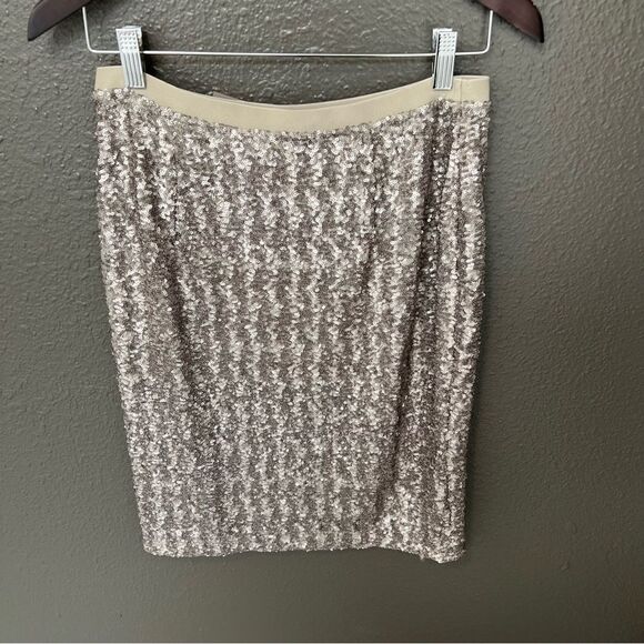 NWT J. Jill Sequins Pencil Sterling Women’s Skirt | Size XS - Picture 5 of 10